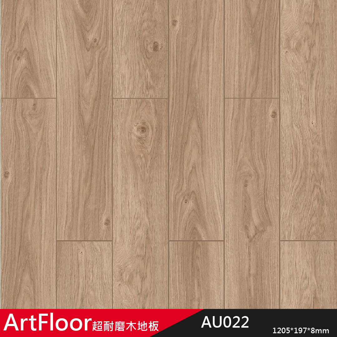 ARTfloor 樣式5