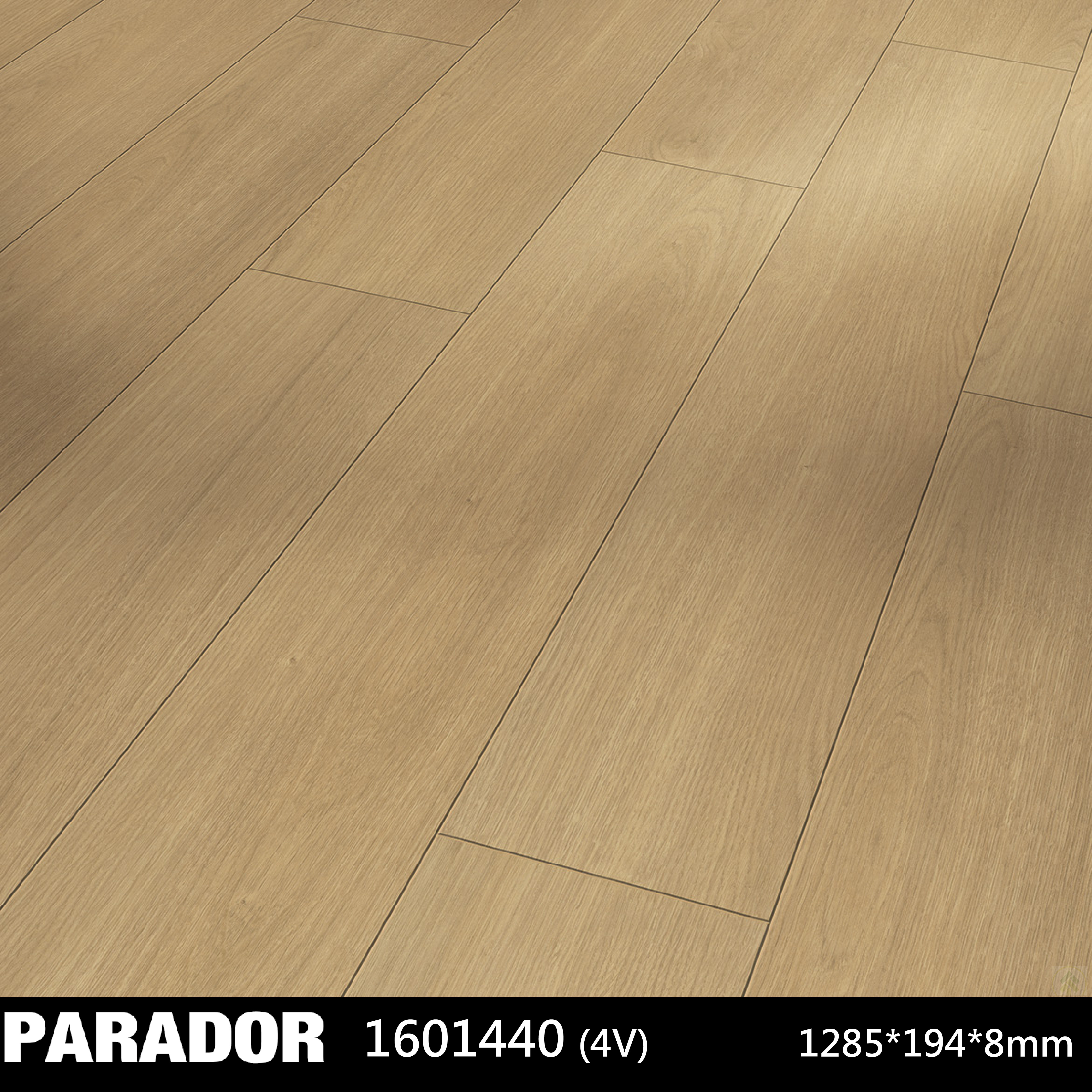 Parador 樣式4